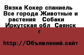 Вязка Кокер спаниель - Все города Животные и растения » Собаки   . Иркутская обл.,Саянск г.